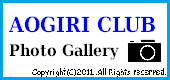 Photo Gallery